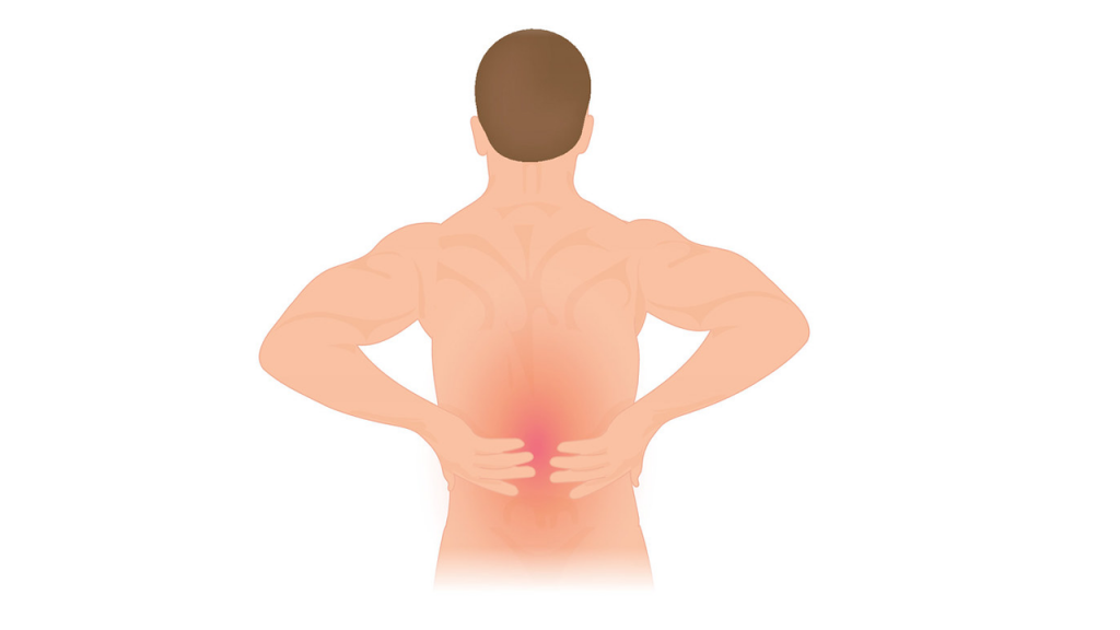 low back pain chiropractor
