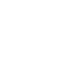 auto accident icon
