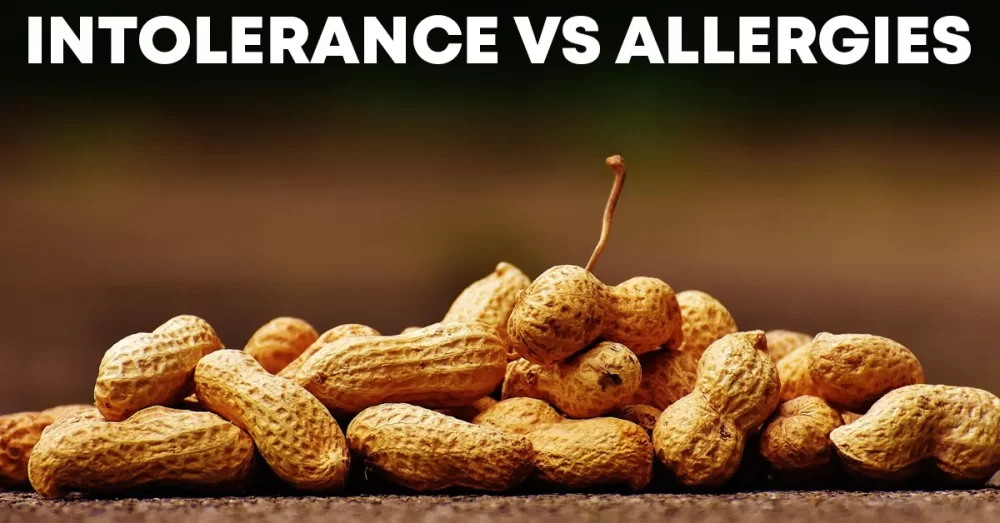 food intolerance vs allergies