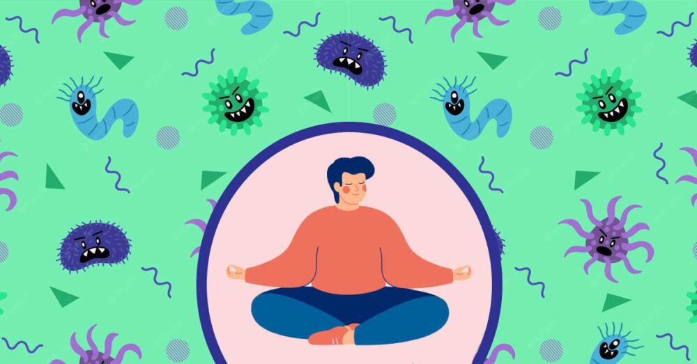 how your immune system works