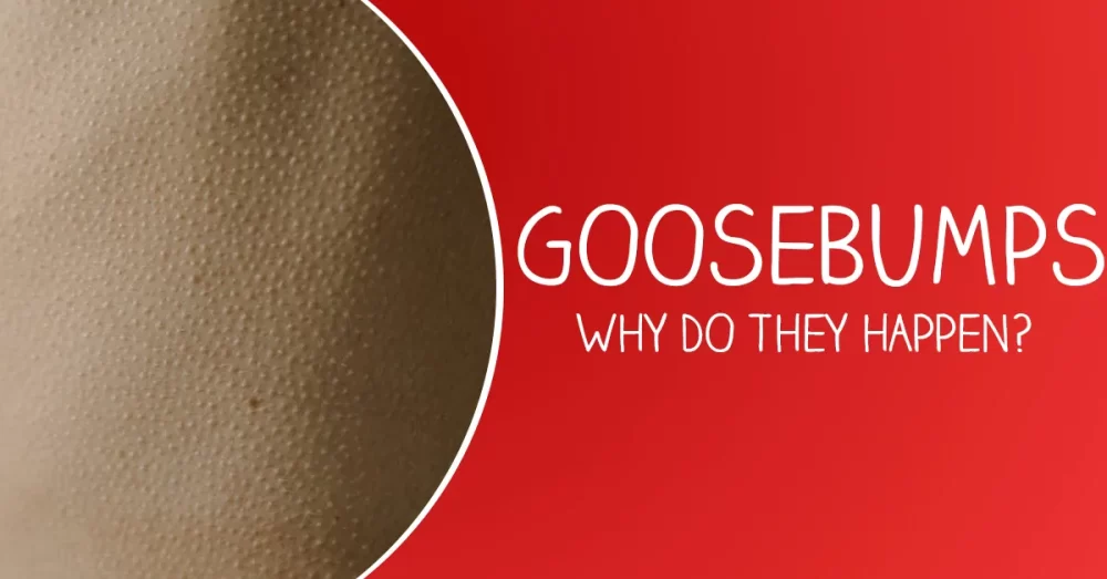 why do goosebumps happen
