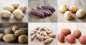 types of potatoes