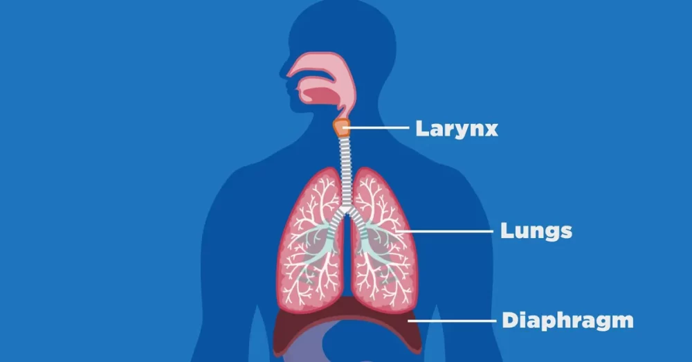 what causes hiccups