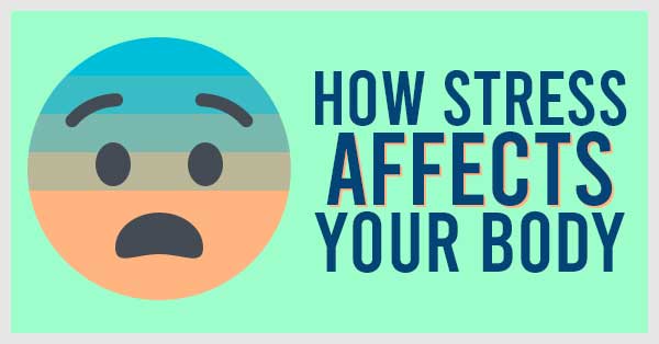 how stress affects your body