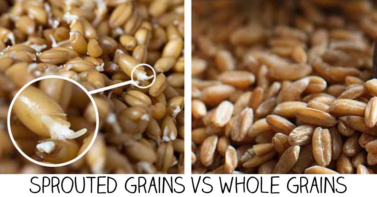 sprouted grains