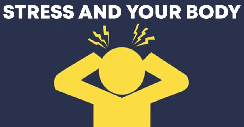 stress and your body