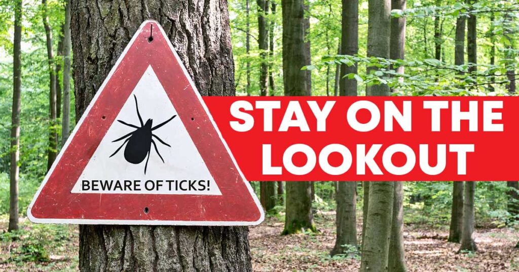 Lyme Disease What You Should Know About the TickBorne Illness