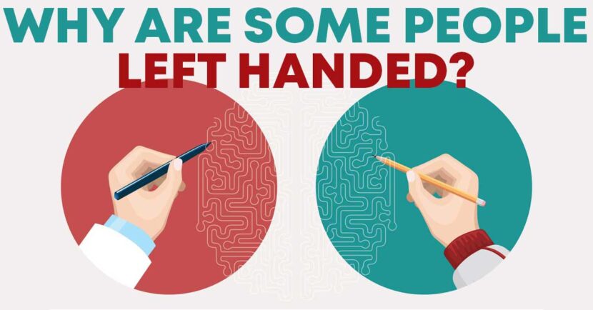 why are some people left handed
