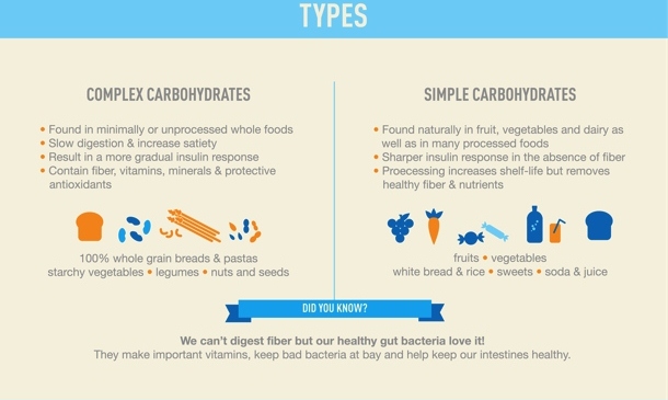 carbohydrates infographic