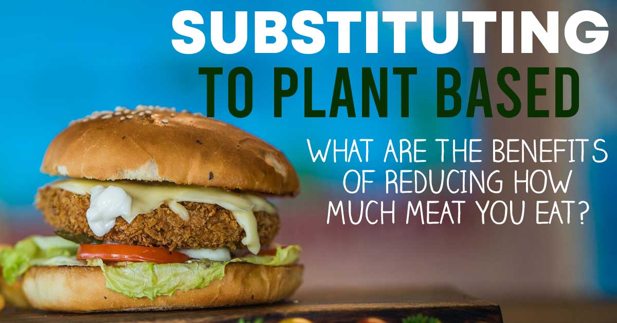 substituting to plant based