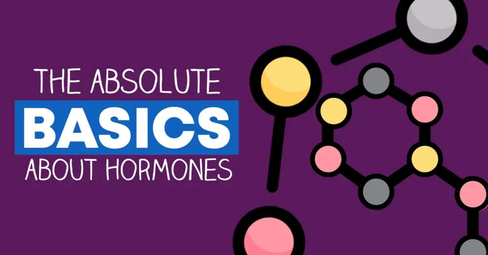 absolute basics of hormones