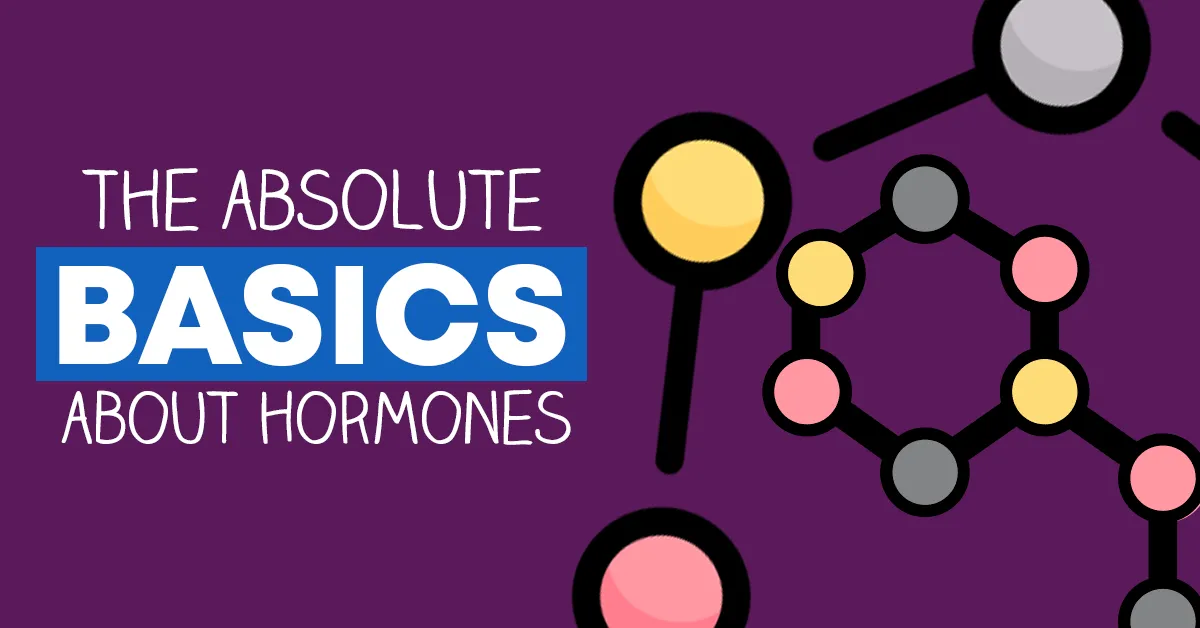 absolute basics of hormones