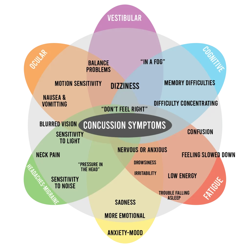 concussion infographic