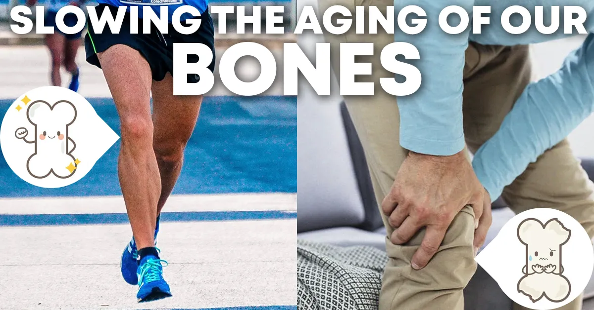 How to Slow the Aging of Your Bones