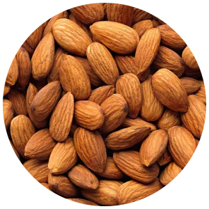 almonds icon