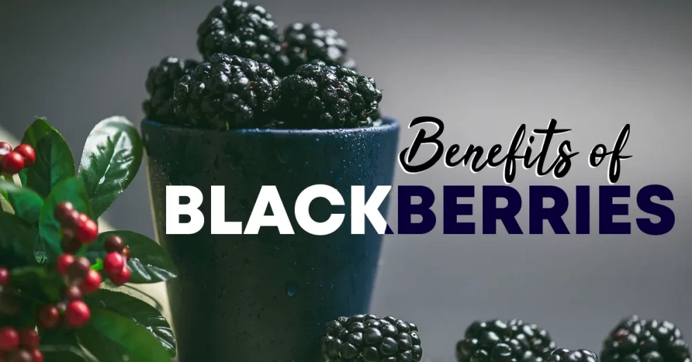 health benefits of blackberries