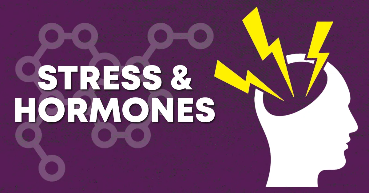 stress and hormones