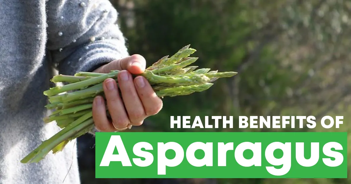 Health Benefits of Asparagus Williams Integracare Clinic