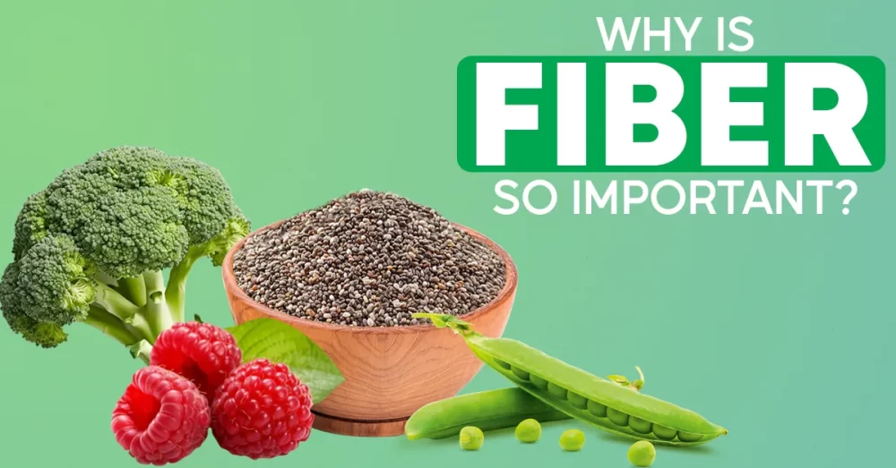 why is fiber so important