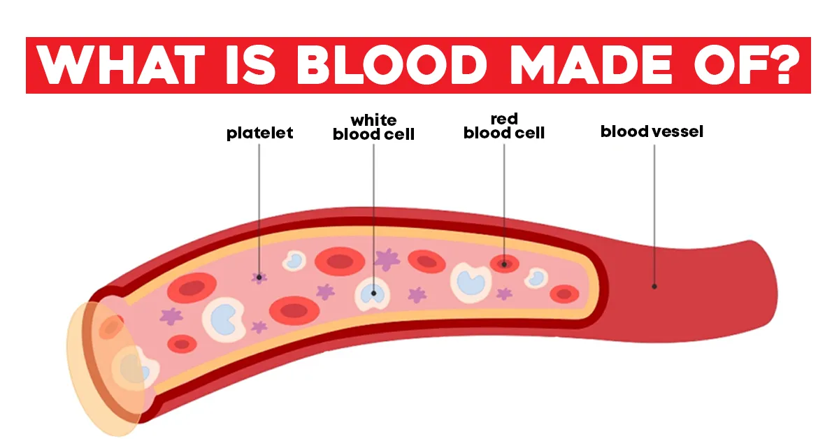 what is blood made of