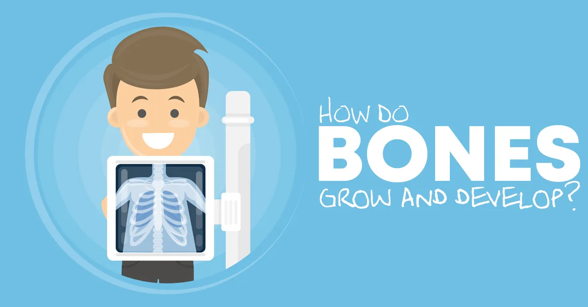 how do bones grow and develop