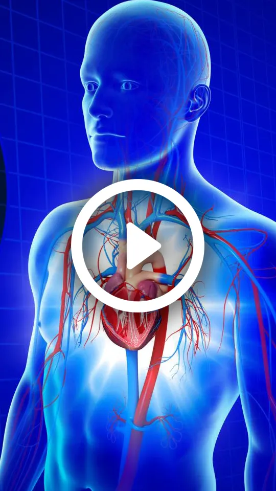 cardio screenings dr is in