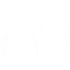 auto injury recovery