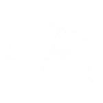 auto injury recovery